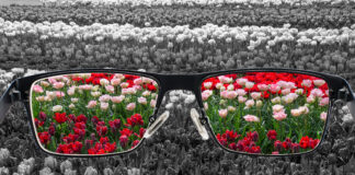 Optimistes et pessimistes ne regardent pas le monde avec les mêmes lunettes