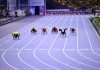 Handisport : le grand oublié des Jeux Handisport