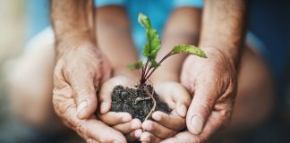 L'écologie est pour tous les âges. Pourtant, certaines générations sont connues pour se mobiliser plus que d'autres.