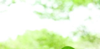 Mobilité et ESG