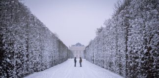 Les vacances de Noël sont un moment idéal pour organiser des visites et profiter du moment pour s'évader...