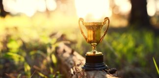 Champions de la terre