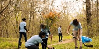 L'écologie, c'est du concret !