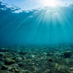 Océan, un traité qui va faire du bien