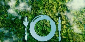 Alimentation et environnement
