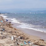 La pollution des océans inquiète de plus en plus. 248 produits chimiques différents ont été identifiés dans une étude de la revue Nature Geoscience.