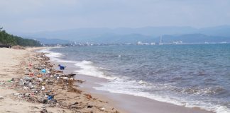 La pollution des océans inquiète de plus en plus. 248 produits chimiques différents ont été identifiés dans une étude de la revue Nature Geoscience.