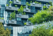 La construction et l'écologie