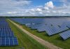 Photovoltaïque et biodiversité