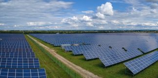 Photovoltaïque et biodiversité