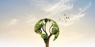 Journée de la Terre ce 22 avril