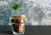 Investir dans les entreprises innovantes : risques, potentiel et perspectives