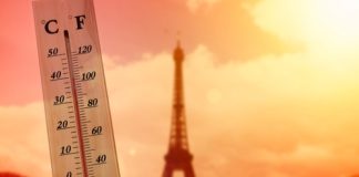 Canicule