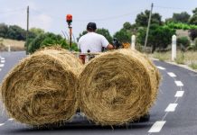 L'agriculture française et ses défis