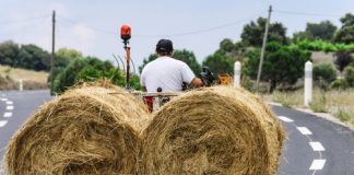 L'agriculture française et ses défis