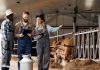 Les prix et les agriculteurs