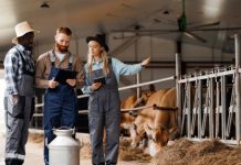 Les prix et les agriculteurs