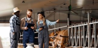 Les prix et les agriculteurs