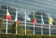 ONU, quid des objectifs pour 2030 ?