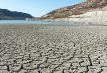 COP17 désertification : restaurer l’espoir ! La désertification, enjeu de la COP 17