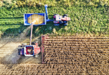 Il ne peut y avoir de transition environnementale sans transition économique Transition économique et environnementale