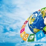Adaptation climatique : l’arbre qui tue la forêt adaptation climatique