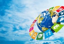 Adaptation climatique : l’arbre qui tue la forêt adaptation climatique