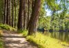 Quand la nature nous offre des solutions ! Les solutions viennent de la nature