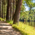 Quand la nature nous offre des solutions ! Les solutions viennent de la nature