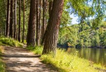 Quand la nature nous offre des solutions ! Les solutions viennent de la nature